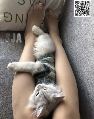 少妇黄蓉被肉干高h潮文_720手机在线看
